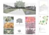 design your garden choosing the best plants