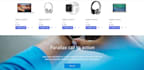 create a professional custom webshop with admin panel and payment system