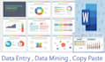 do perfectally data enty , data mining , copy paste