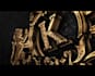 create luxury gold and black 3d logo animation