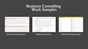 provide business operations consulting services