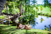 provide professional photography in the caribbean