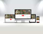 create professional wordpress website design or redesign wordpress website