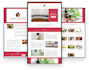 design or redesign website on wix, wix studio, godaddy airo