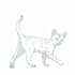 draw any breed of cat
