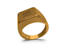 do signet rings and luxury signature logo design