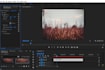 do professional and cinematic video editing