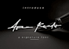 make a pro handwriting signature logo, branding design
