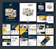 design business bifold, trifold brochure