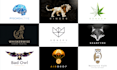 do professional geometric and polygonal logo design
