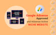 provide adsense approved complete niche website