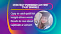 write compelling blog posts and articles for wordpress blogs