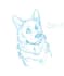 draw your pet