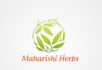 make your herbal logo design with unlimited revisions