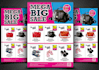 design professional product sale or advertisement flyer