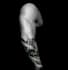 design a custom realistic tattoo in black and grey or colour