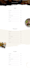 design unique wordpress restaurant website with food order, delivery system