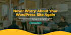 wordpress site expert maintenance