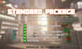 set up your minecraft server professionally