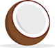 design fruit flat design vector illustrations