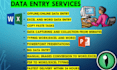 do excel data entry, PDF to excel, image to excel and copy paste