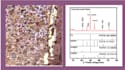 provide a solution to  materials science and chemical engineering
