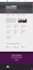 build a modern responsive website on tilda