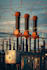 solve electrical engineering projects