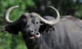 be you tour guide while in kenya