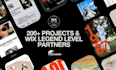 make you a perfect pro wix website