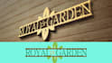 design vintage leaf logo plant, flower and nursery