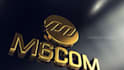 create gold metallic logo animation