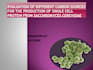 make power point presentation