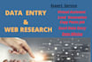 do flawlessly data entry job and web research, data mining