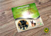 design amazing event flyer, church, wedding, food, party, business flyer
