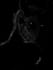 draw any creature like zombie, skull or a monster for you