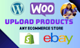 be your virtual assistant for business and administrative work