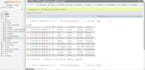 design and build web based database management systems