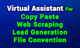 do data entry, copy paste, web research, web scraping, and excel data entry