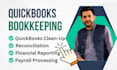 do setup, quickbooks online and xero bookkeeping, clean up, bank reconciliation