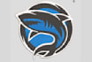do perfect embroidery digitizing in 1 hours
