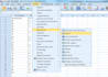 do data analysis using spss