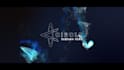 create professional logo animation and video intro
