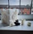 design 3d printable models