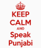 teach You how to Speak In Punjabi