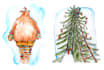 draw cute animal illustrations