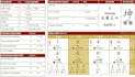 identify your strength and wealth luck using bazi