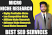do low competitive and easy to rank micro seo niche research