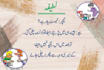 do urdu typing and retyping, book typing