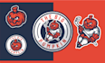 design custom cartoon mascot logo for your sports team, brand, club or college